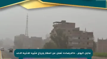 عاجل اليوم.. «الأرصاد» تعلن عن أمطار ورياح مثيرة للأتربة الأحد